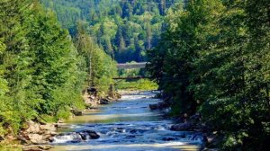Карпаты.Природа и Музыка.Пейзажи летних Карпат.Продолжение .Carpathians. С.Чекалин.