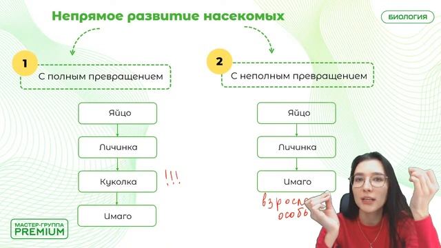 РАЗВИТИЕ ЖИВОТНЫХ | БИОЛОГИЯ | ОГЭ 2023 | МАСТЕР-ГРУППА | 99 БАЛЛОВ смотреть онлайн