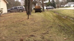 DR Leaf Vac Cleaning up Pine Needles and leaves