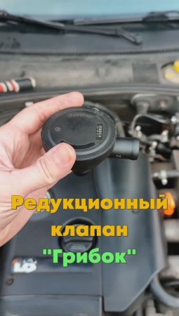 Грибок - Редукционный клапан - Клапан ВКГ - Passat B5 Audi Skoda VW golf