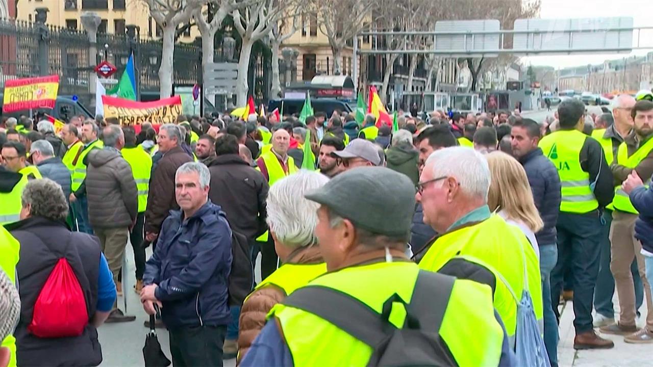 В Европе ширятся протесты фермеров, которые требуют поддержки властей