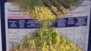 Гербицид-как нас разводят.