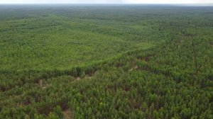 озеро Лисичкино, Республика Марий Эл