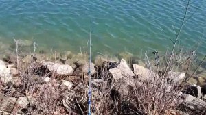 Bass Fishing on a Dropshot and Berkley Gulp Minnow. See How My 30lb Line Snapped Off