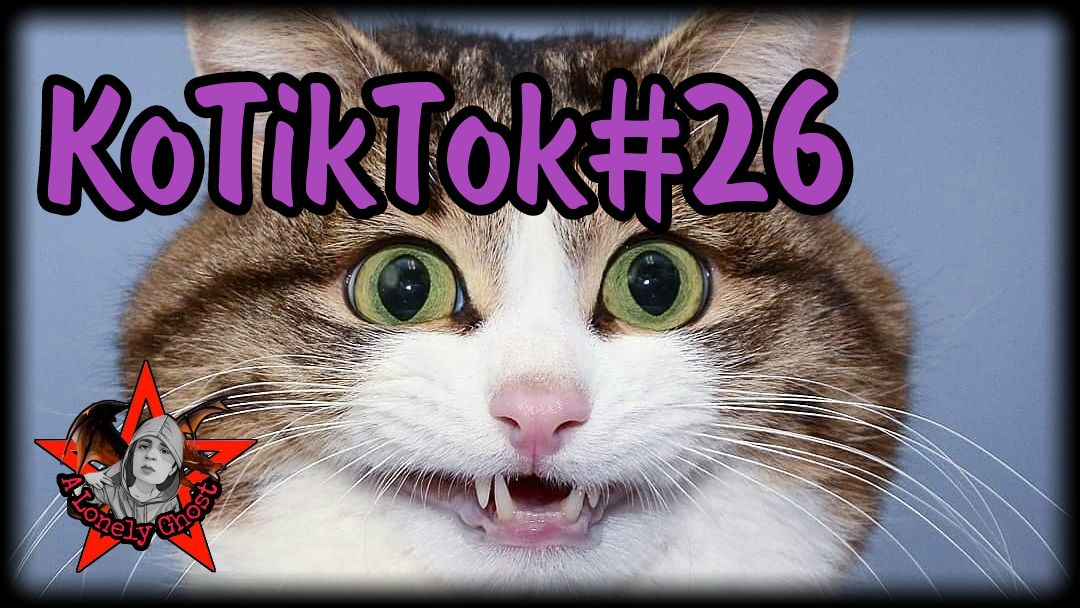 КоTikTok#26