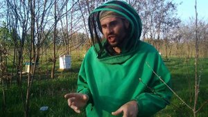 Пасека в роевом состоянии. Роение пчел. Первые признаки пчеловод увидит по маточниках