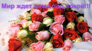 Яркое Поздравление С Днем Рождения! Красивая Песня! С Днем Рождения! С Днем Рождения Тебя!