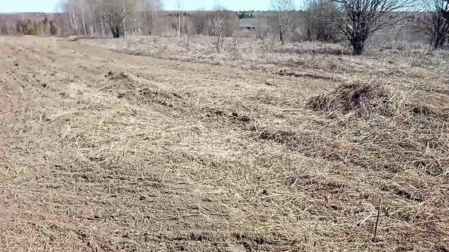 Проборонил участок под картошку.