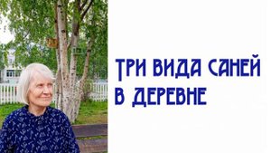 Три вида саней в деревне