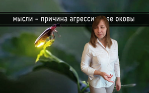 УЛЫБКА ОСТАНОВИТ АГРЕССИЮ. МЫСЛИ МАТЕРИАЛЬНЫ
