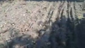 Картофелекопалка для мотоблока ОКА