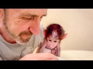 Накормить Степашка  всё труднее, если ему НЕ НРАВИТСЯ ЕДА, можно даже не пытаться его накормить!