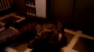 Оружейка 2 батр в\ч 51911 (10 09 07г)