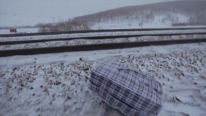 Фильм "Нюрка" (2011). композитор: Олег Стариков (несколько фрагментов из фильма)