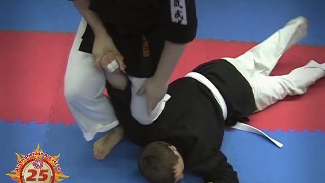 Айкидзюцу (Архив 2009 года) смотреть онлайн