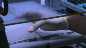 В Воронежской области выявлено несколько случаев малярии