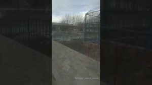 Медведь едва не напал на ребёнка в зоопарке в Караганде. Девочка перелезла через ограждение