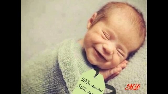 Подборка на песню Вячеслава Мясникова Песня о папах