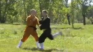 Кунфу, парный комплекс «18 рук архатов»