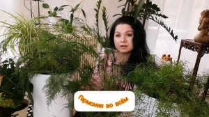 КОМНАТНЫЕ РАСТЕНИЯ /АСПАРАГУС УХОД И СОДЕРЖАНИЕ #цветы#влог#
