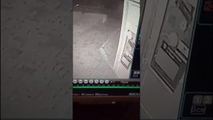 Воры Снятые На Скрытую Камеру!!!!!! 2019 год