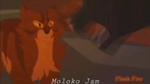 коты воители Бич песня закон стаи.