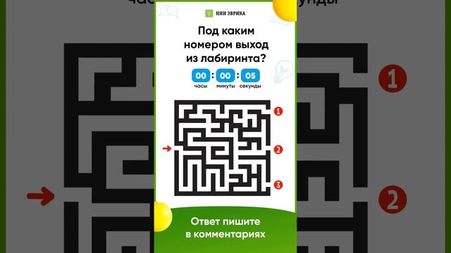 Под каким номером выход из лабиринта?