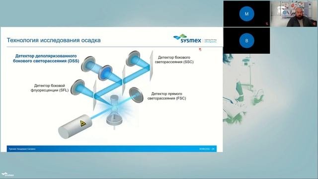 Кристаллурия: диагностика и интерпретация