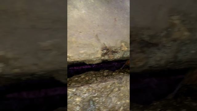 левые колодезные кольца смотреть онлайн