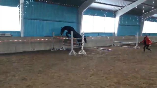 Флобер. Напрыгивание на свободе смотреть онлайн