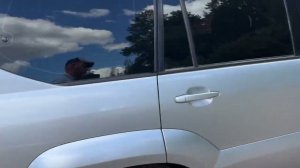 Toyota Land Cruiser 2005г.