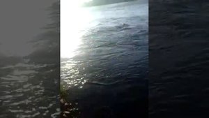 Рыбалка на уде