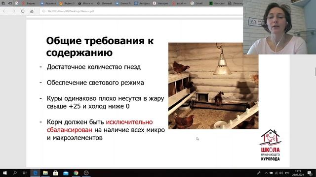 Лучшие яичные породы кур и кроссы. Мясо-яичные породы. Как выбрать, Школа куровода. Часть1