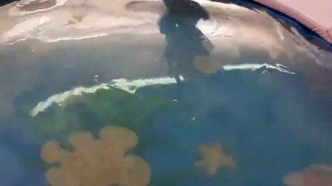 Дети отдыхают, развлекательный комплекс "БОНИФАЦИЙ" г.Братск