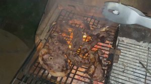 Моя африканская жизнь в Кении. Работа и отдых, приключения: такая разная Кения