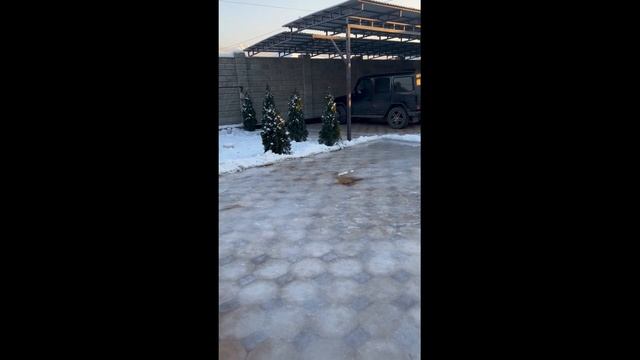 Как я залил каток прямо во дворе на брусчатку.