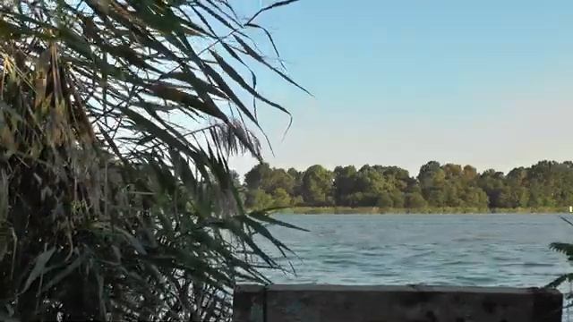 Шум ветра и камышей,для сна и отдыха.The sound of wind and reeds, for sleep and relaxation. смотреть онлайн