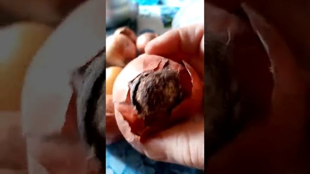 Хочу показать, рассказать какие продукты продаёт магазин "Южный" в станице Старомышастовская. смотреть онлайн