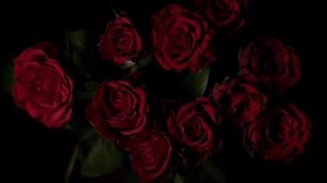 Stalker's Tango (Cover) ??