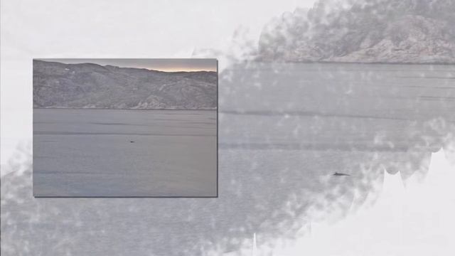 Крабы Баренцово море смотреть онлайн