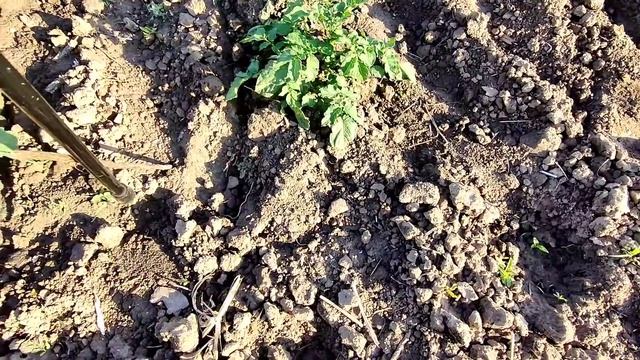 Украина??Жизнь под сиренами.Манты смотреть онлайн