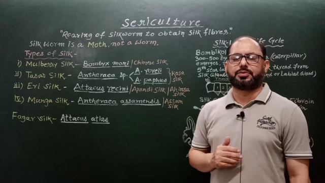 #Sericulture  #Rehan's Biology #Sericulture in hindi #Silkworm Life cycle #Zoology B.Sc. iii