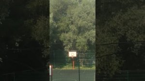 Прекрасный вид из окна машины второго итажа?