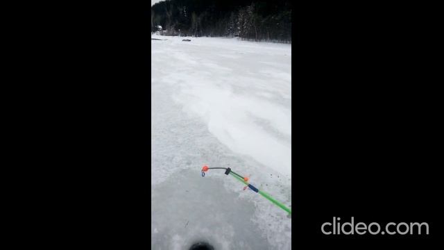 Ловим хариуса зимой на мушку. смотреть онлайн