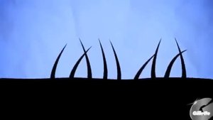 Как брить пах