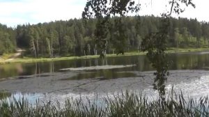 Дарина җырлый.  Дөнья бит ул. ♫ Таухи ♪