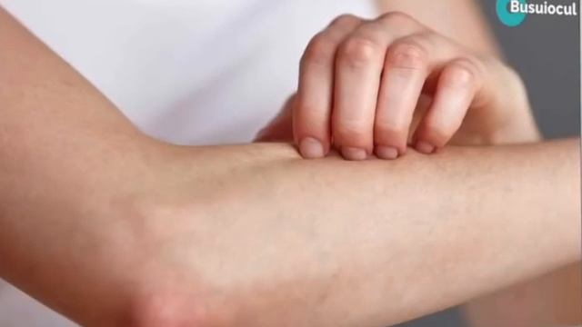 Busuiocul Planta Sfanta sau Iarba Regilor, Doctor Natural si Pasaport Pentru Paradis смотреть онлайн