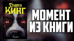 Куджо Стивена Кинга - История о непростой судьбе бешенного сенбернара
