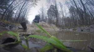 МОТОВЕЗДЕХОД Велес Компакт