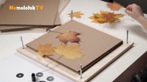 Кленовые листья сушим и рисуем на них!